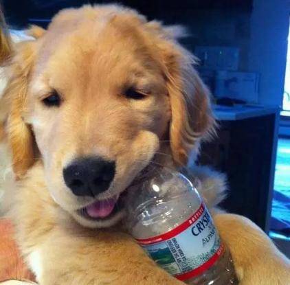 ���÷�չ���Լ۱ȸߵ����֡�����ߡ�����������