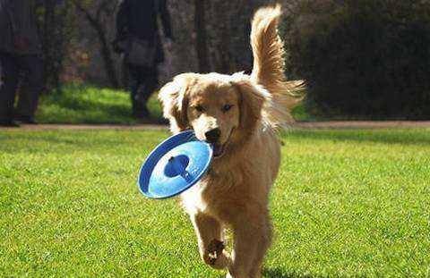 ����Ϊ�Լ��İ�����ʿѡ����Ե����