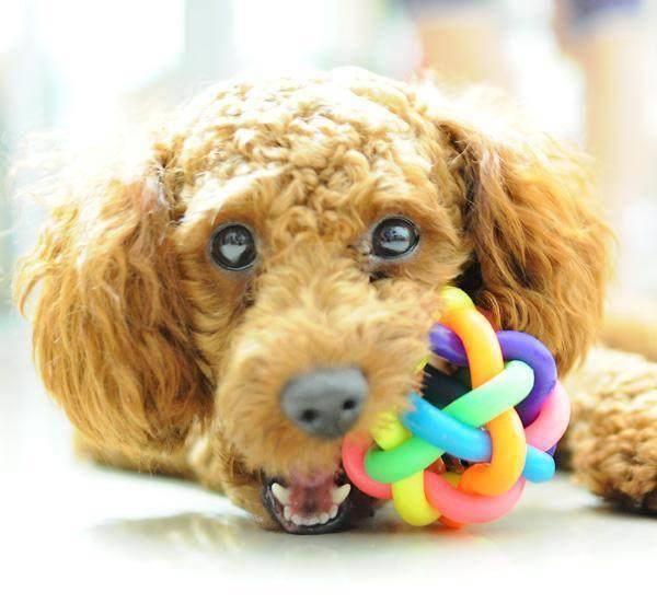 ����Ϊ�Լ��İ�����ʿѡ����Ե����