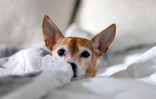 ��ô��С��ѡС��߸���С���Ը�ѡС���