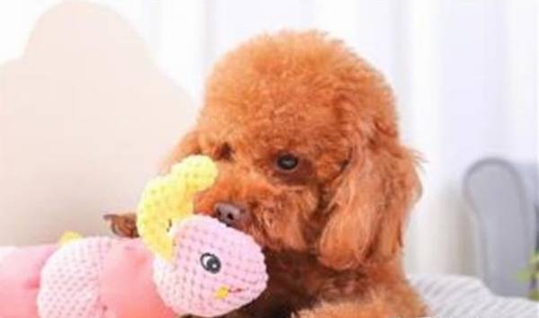 ��������ȥҪϴ����һ��Ҫ�˽�