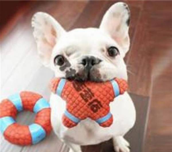 ��������ȥҪϴ����һ��Ҫ�˽�