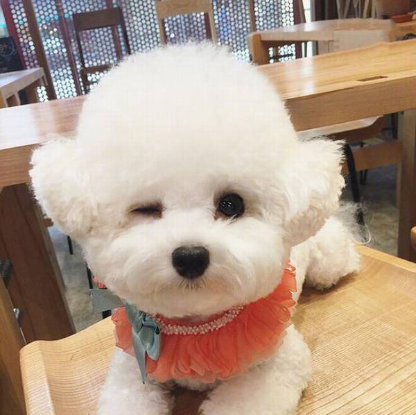 �������ִ�ȫ���ﹷ���������������