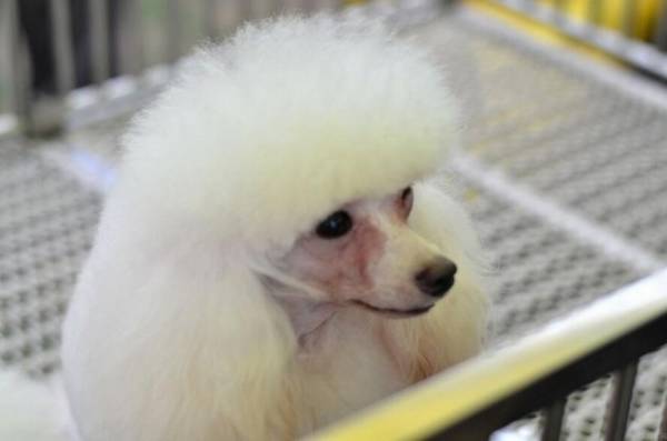 �������ִ�ȫ���ﹷ���������������