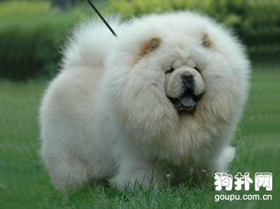 ��ΰﹷ��ȡ�������֣�������ȡ���ֵ�ע������