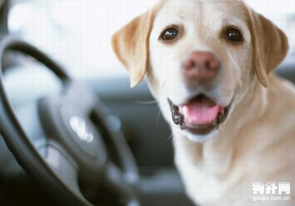 ��ô������ȡ���������������ķ�������