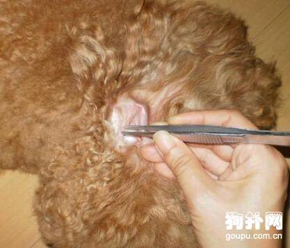 �����Ķ�����ô������