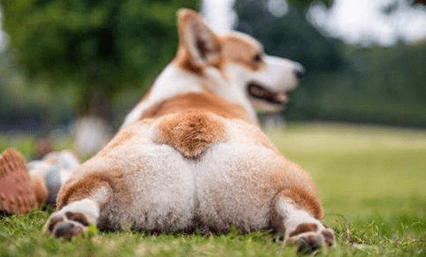 ���������ĵ÷������»����϶����н��裬�»���������Щ�����Գ�