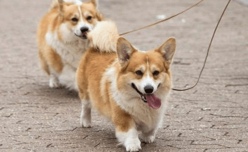 ���������ĵ÷������»����϶����н��裬�»���������Щ�����Գ�