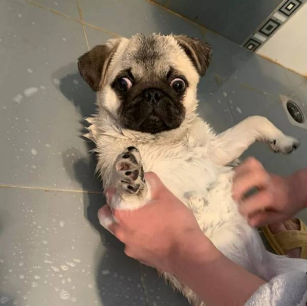 ȥһ˻ؼ˺󾭳кҲԵʣעͷ