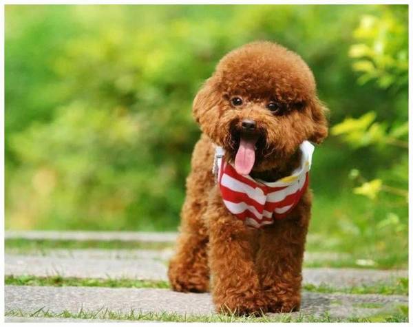 С̩���е����ð��ô��