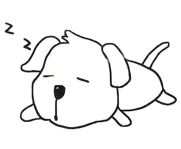 怎样去选择一只小狗狗? 怎样去选择一只小狗狗?