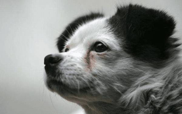 ������Ӧ��ע��ʲô