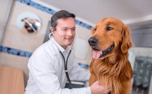 ������Ӧ��ע��ʲô