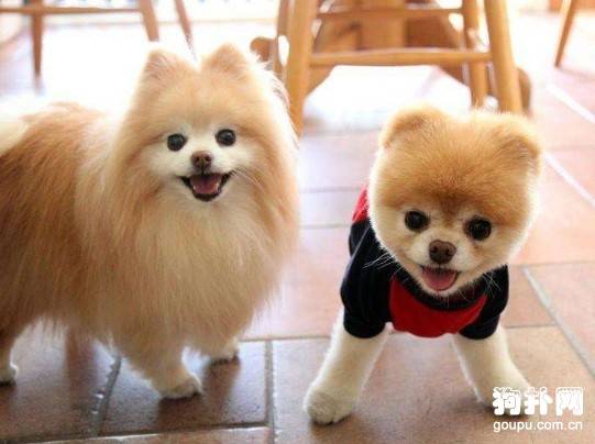 ������Ȯ������Ҫע����Щ����?