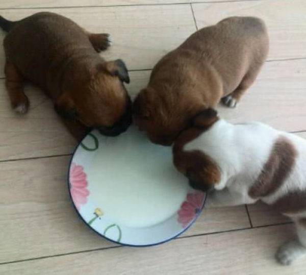 ��ͬ�ѵ�С���ܹ��������������˱����̡������ǳ�̬����