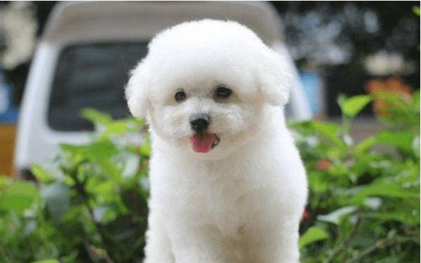 �������ֱ���ע��ʲô��