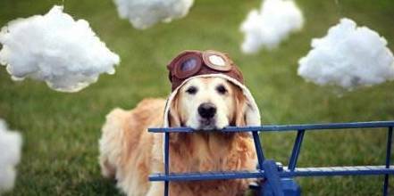 �����Ĺ���������Щ��