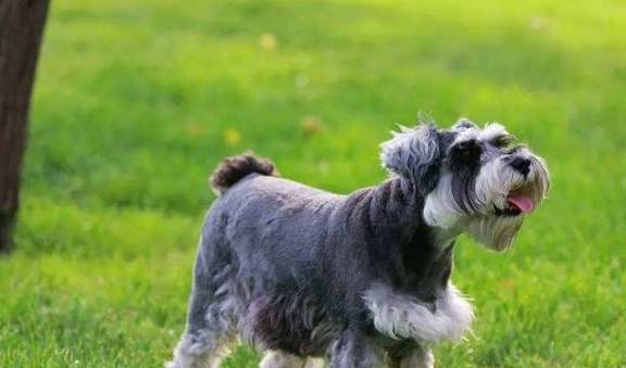 ѩ������ʲô���Ĺ�������ȱ������������������