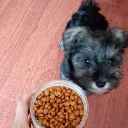 ѩ������ʲô���Ĺ�������ȱ������������������