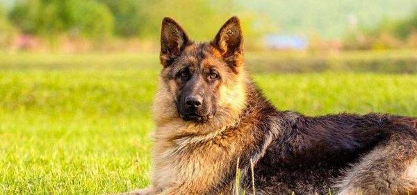 ��5�ֹ�����͵����������͵�����ڼ����ܷ�С͵