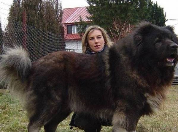 ��5�ֹ�����͵����������͵�����ڼ����ܷ�С͵