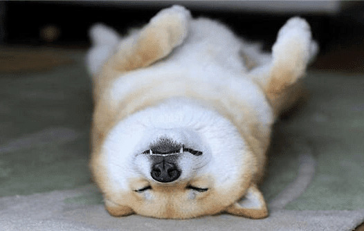 ���ܹ������Դ���������ֹ�������ʺ���ǿ����������Ƿ�����ҵ�