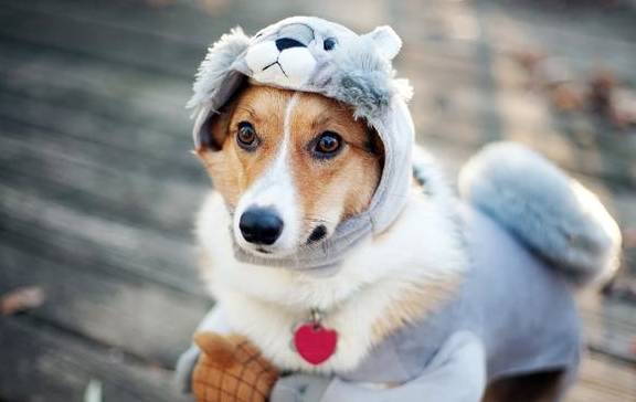 ����Ա�����¡�����5�ֹ������뵱��Ȯ��ңң�����ˣ�