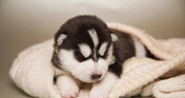 Ҳ׶˵ʿ洿֣Ҫ5㣬ƭ