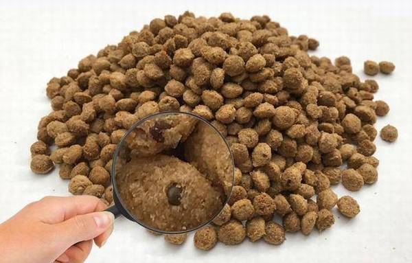 Ҳ׶˵ʿ洿֣Ҫ5㣬ƭ