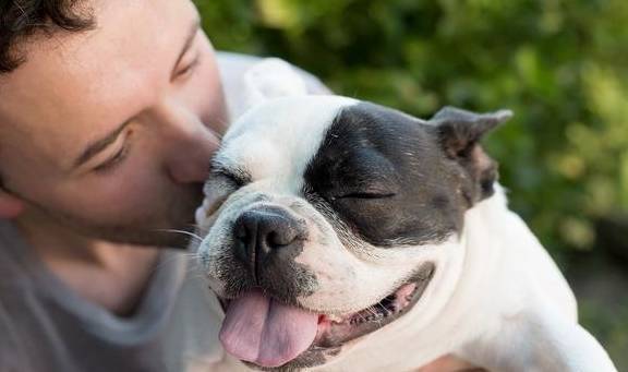 全世界最忠诚的狗狗是什么?别傻了,你还是坚信这些排名吗 全世界最忠诚的狗狗是什么?别傻了,你还是坚信这些排名吗