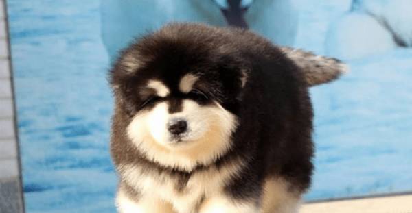 ����������������۵ĕr��