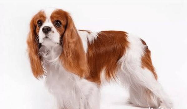 ���ܿ��ó��������Л]�У�