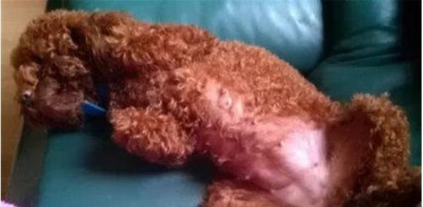 �������м�������?