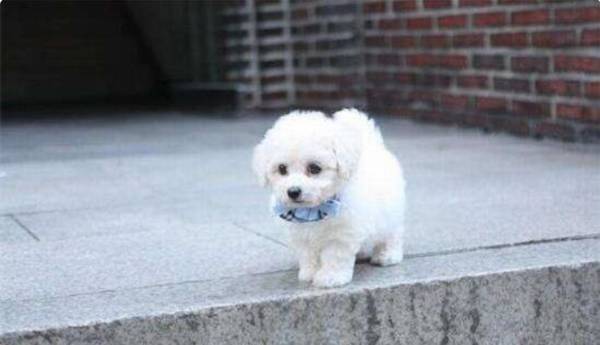 ��ë����Ȯ��ʱ����