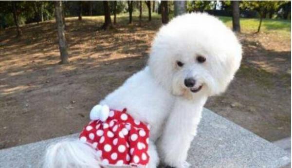 С����չ������������Ӧ����