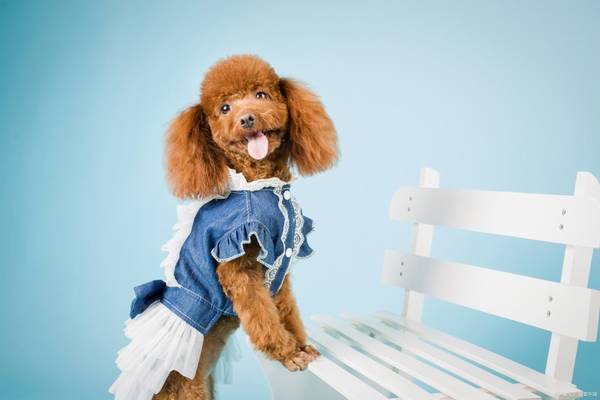 ��������ʲô֢״��ҽ����ʽ����