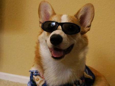 �»�������Ҫ�ζ�ë�𣿿»�������Ҫ�ζ�ë��