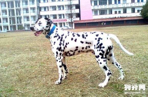 �ʺϳ��������Ĵ�����Ȯ����Щ��