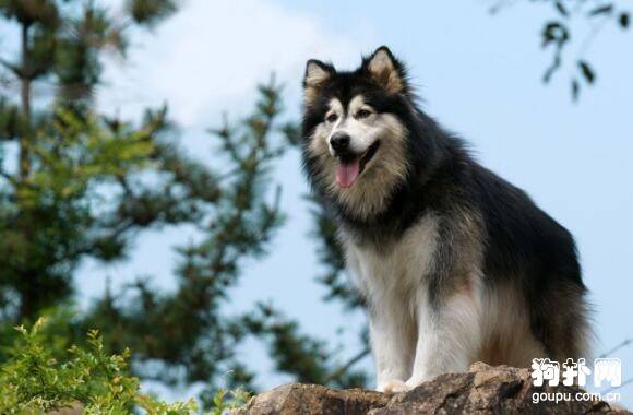 �ʺϳ��������Ĵ�����Ȯ����Щ��