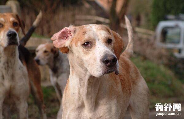 ����Ȯ����Щ���⼸�ֱ���Ҫ֪����