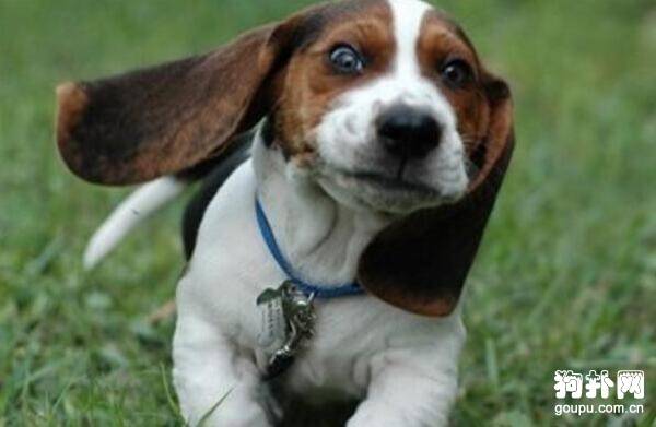 ����Ȯ����Щ���⼸�ֱ���Ҫ֪����