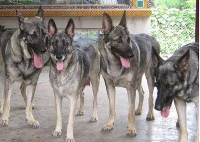 ���һ�Ժ�ļҺã����ҹ����л�������Ȯ���ϰ���