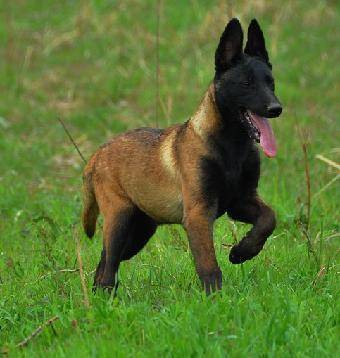 ���һ�Ժ�ļҺã����ҹ����л�������Ȯ���ϰ���