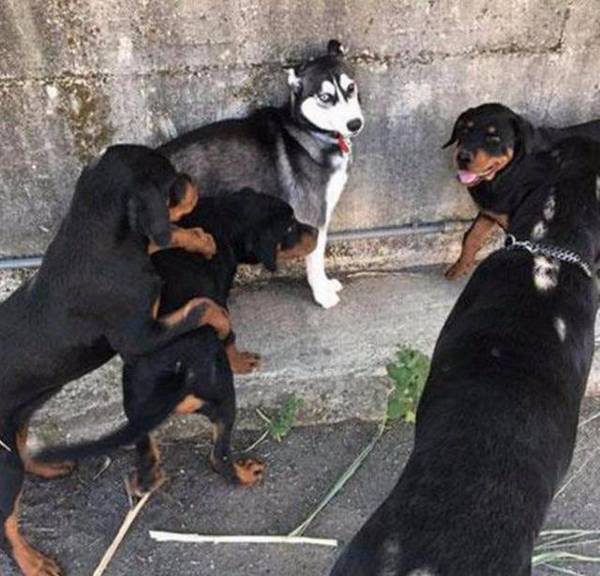 ���һ�Ժ�ļҺã����ҹ����л�������Ȯ���ϰ���