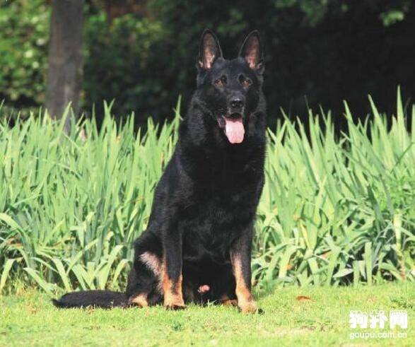 ����һֻ����֮ǰ��Ҫ֪����Щ����