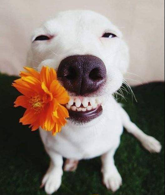 ������������ʲô���֣���Ҫע��ʲô��