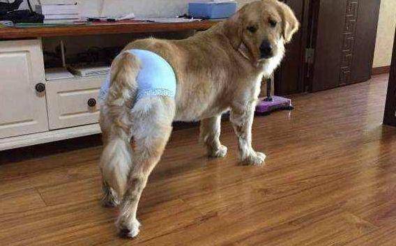 ������������ʲô���֣���Ҫע��ʲô��