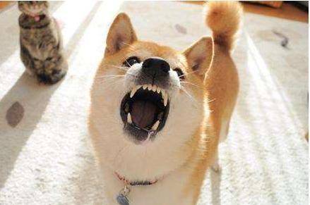 ������������ʲô���֣���Ҫע��ʲô��