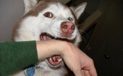 ������ҧ�����������˿ڣ�